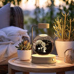 3D Dinosaur Crystal Ball Night Light USB - vista 60